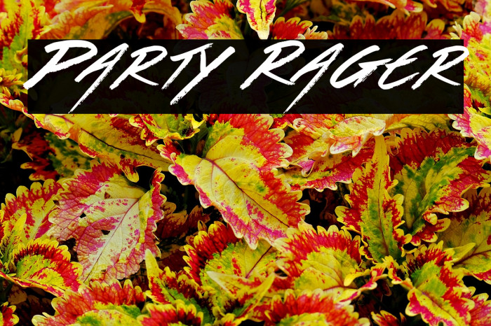 Party Rager Example 1