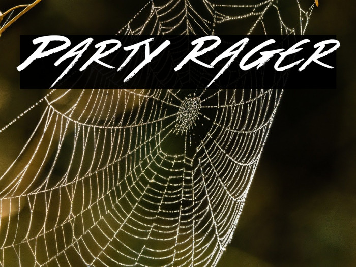 Party Rager Example 2