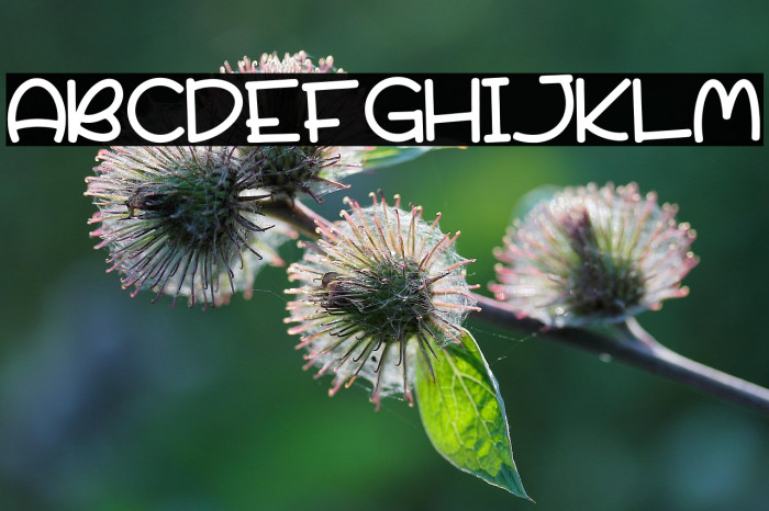 Party Rocky Example 2