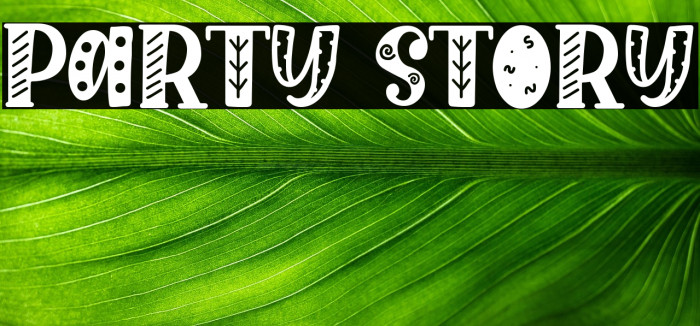 Party Story Example 1