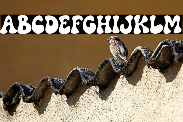 Party Vibes Font examples