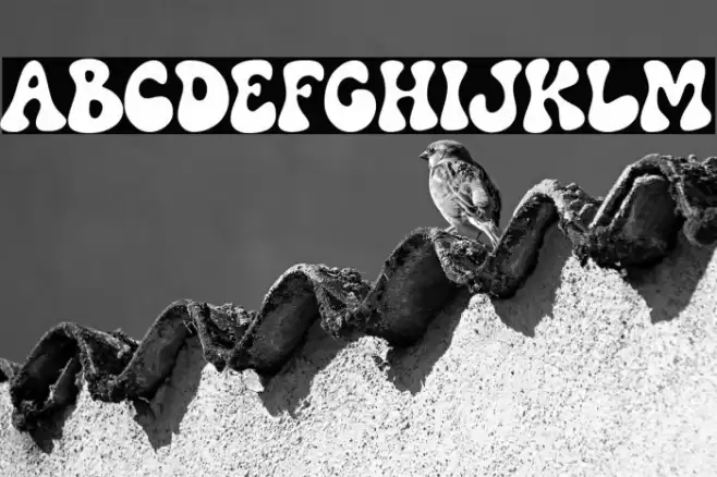 Party Vibes Font examples