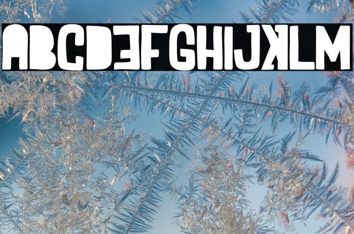 Party in North Korea Example 2