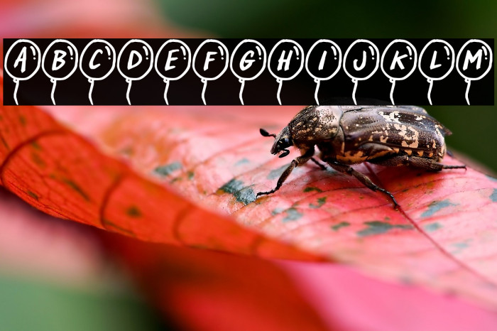 PartyBalloons Example 3