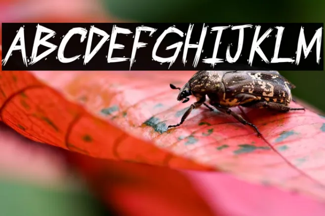 PartyCrasherzPG-Italic Example 2