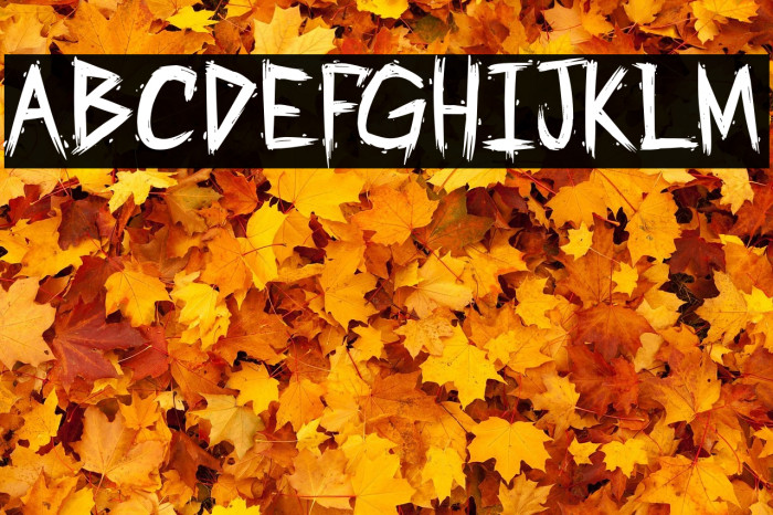 PartyCrasherzPG Example 1