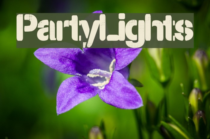 PartyLights Example 2