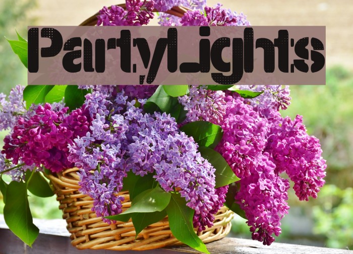 PartyLights Example 3