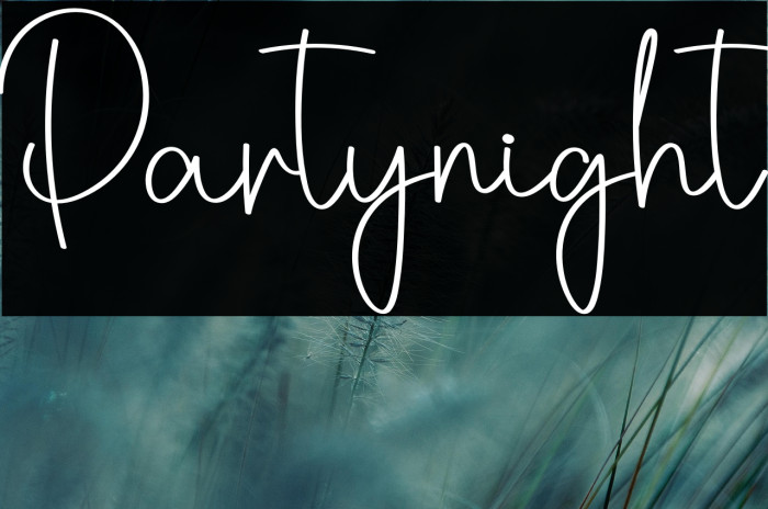 Partynight Example 2