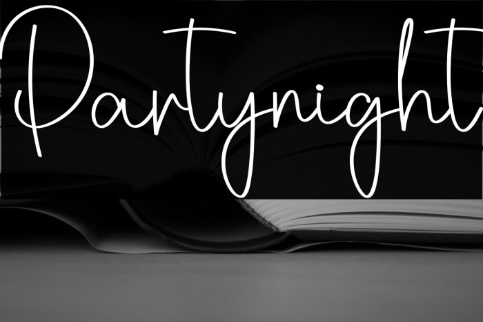 Partynight Example 3