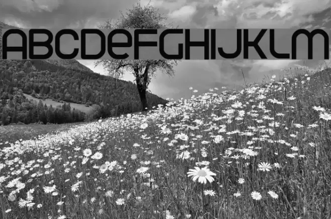 Parvoflavin Normal Font examples