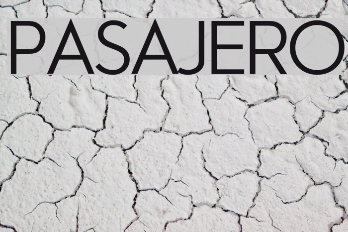 Pasajero Example 1