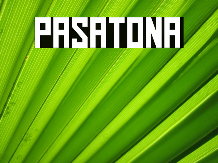 Pasatona Font examples