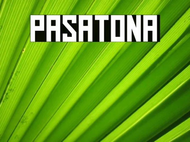 Pasatona Example 2