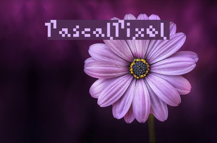 PascalPixel Font examples