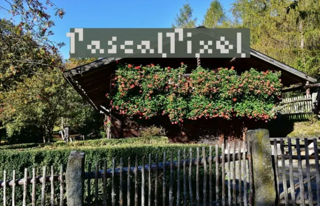 PascalPixel Example 3