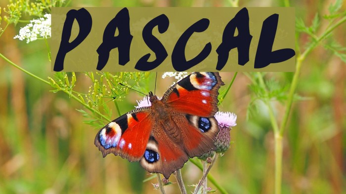 Pascal フォント examples