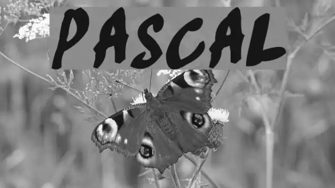 Pascal フォント examples