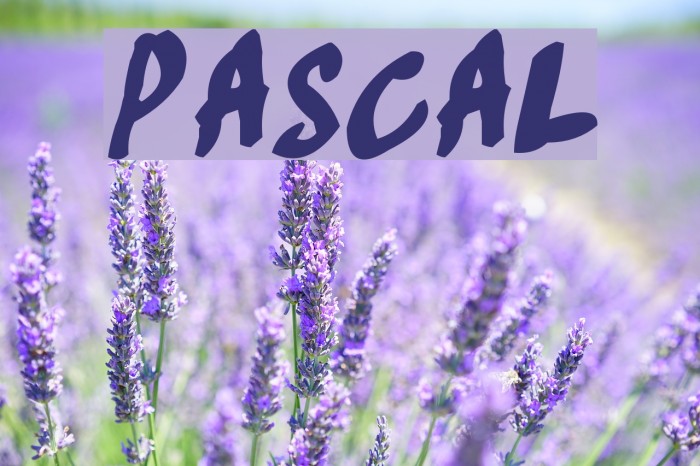 Pascal フォント examples