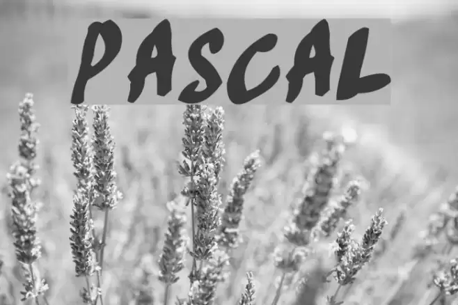 Pascal フォント examples