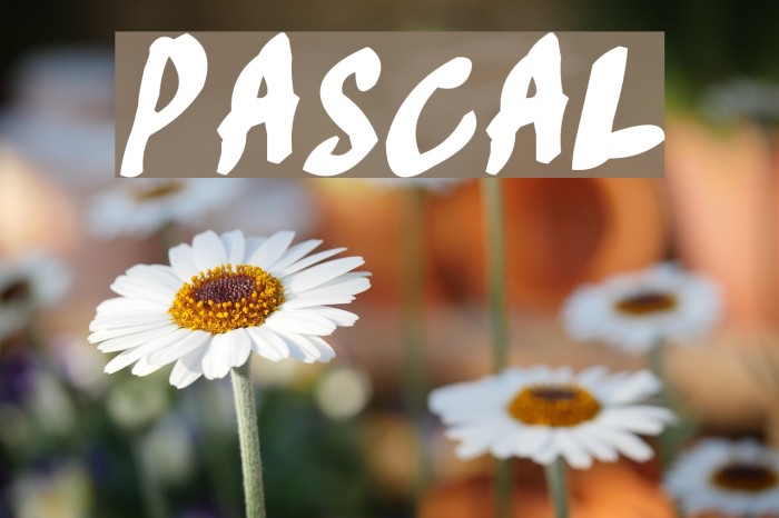 Pascal Font