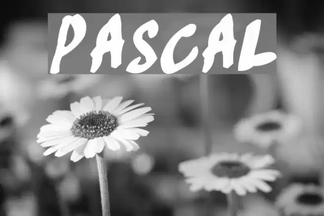 Pascal フォント examples