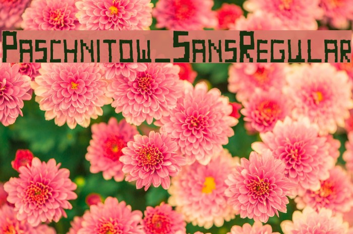 Paschnitow_SansRegular Example 1
