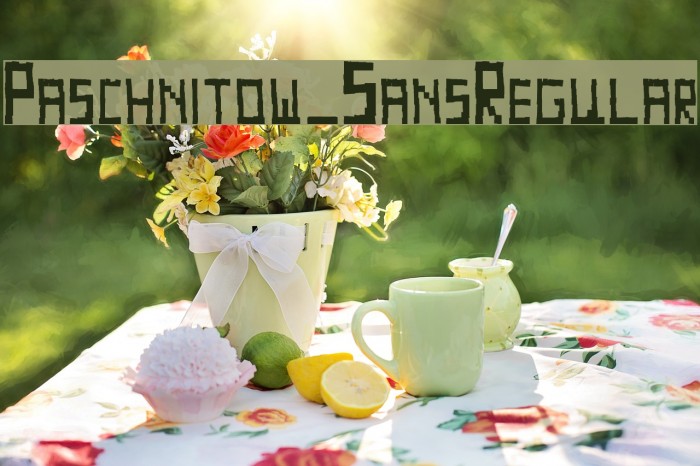 Paschnitow_SansRegular Example 2