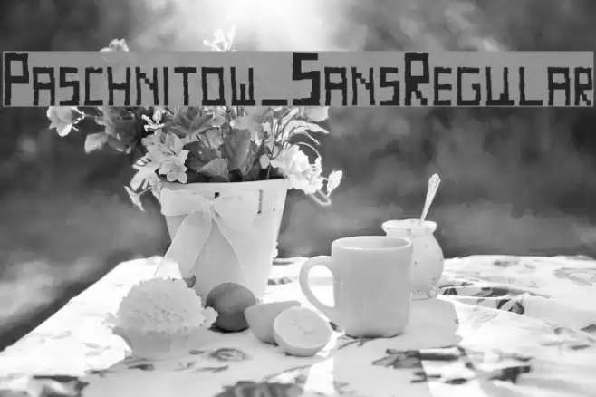 Paschnitow_SansRegular Font examples