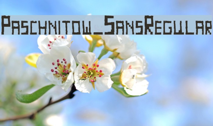 Paschnitow_SansRegular Example 3