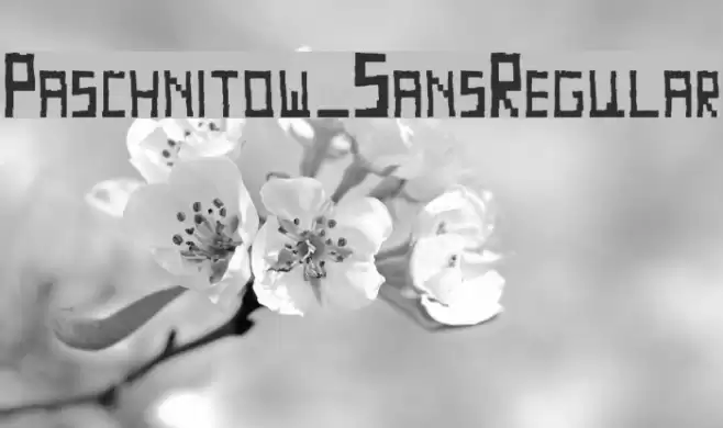 Paschnitow_SansRegular Font examples