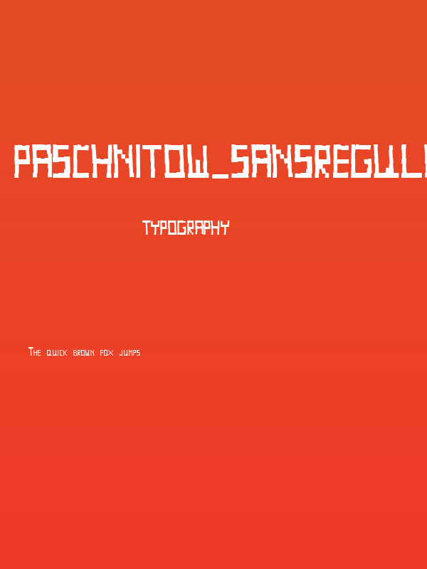 Paschnitow_SansRegular Poster