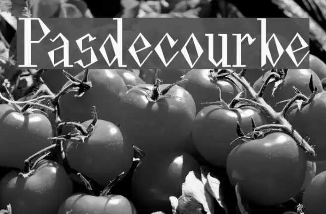 Pasdecourbe Font examples