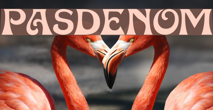 Pasdenom Font examples