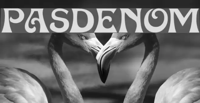 Pasdenom Polices examples