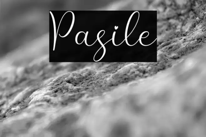 Pasile Font examples