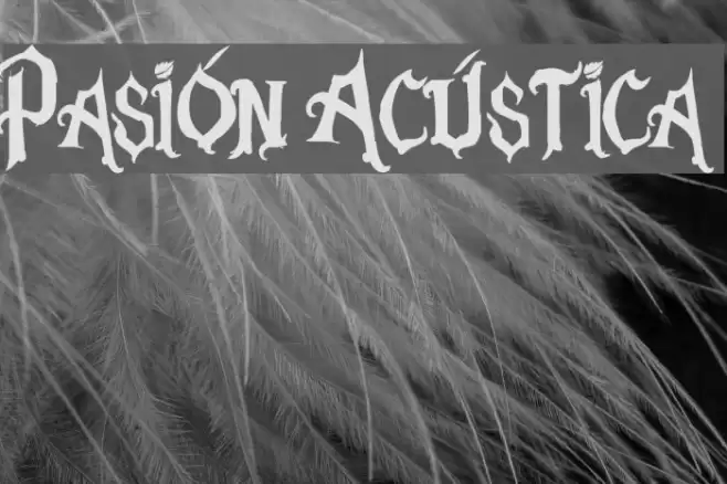 Pasión Acústica Font examples