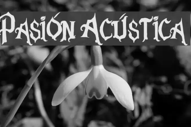 Pasión Acústica Font examples