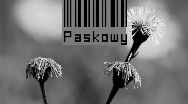 Paskowy Font examples