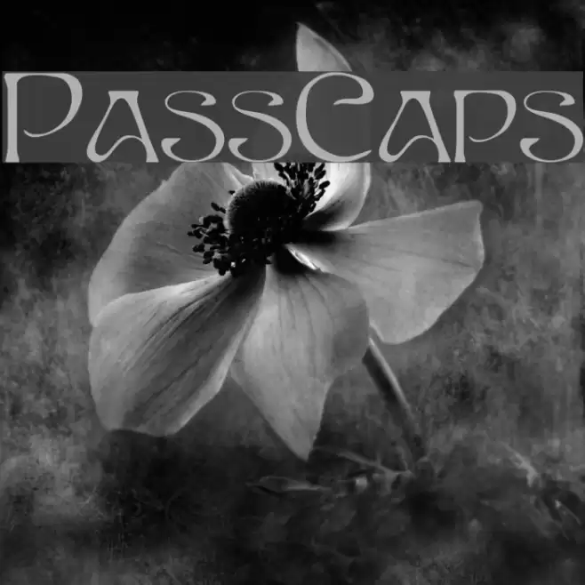 PassCaps Font examples