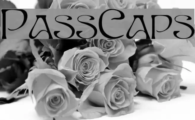 PassCaps Font examples