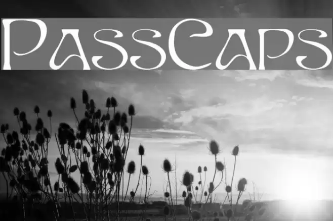 PassCaps Font examples