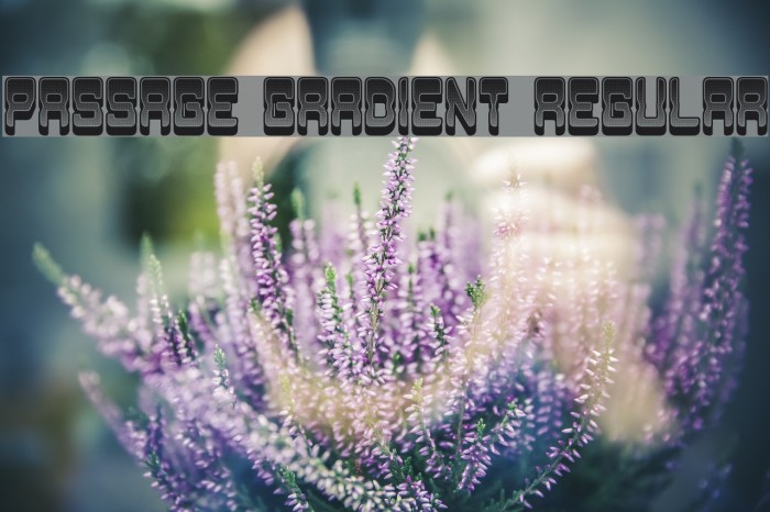 Passage Gradient Regular Example 3