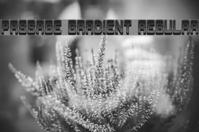 Passage Gradient Regular Font examples