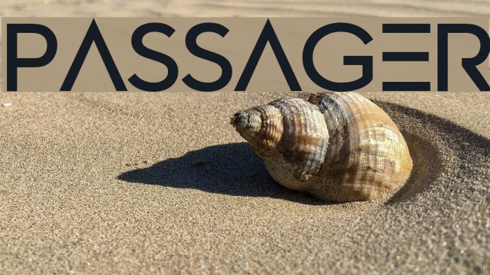 Passager Font examples