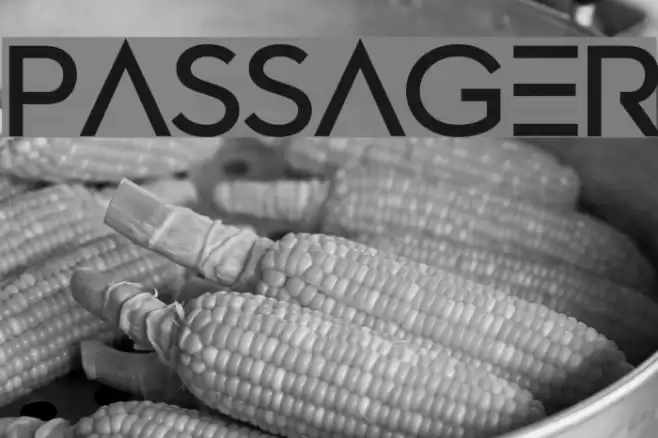 Passager Font examples