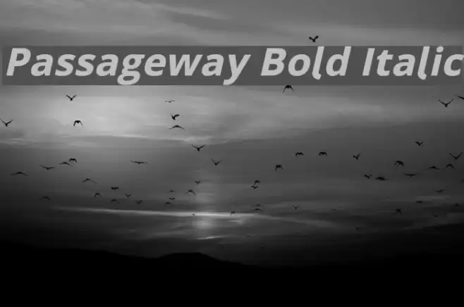 Passageway Bold Italic Font examples