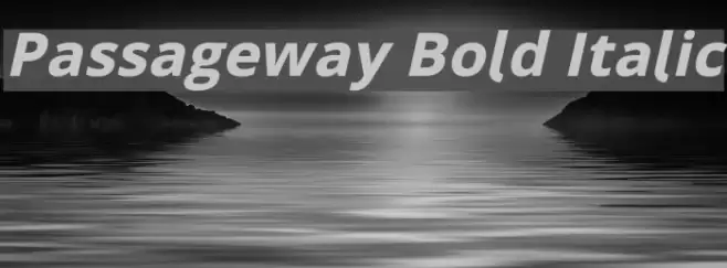 Passageway Bold Italic Font examples
