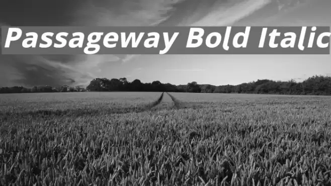 Passageway Bold Italic Font examples