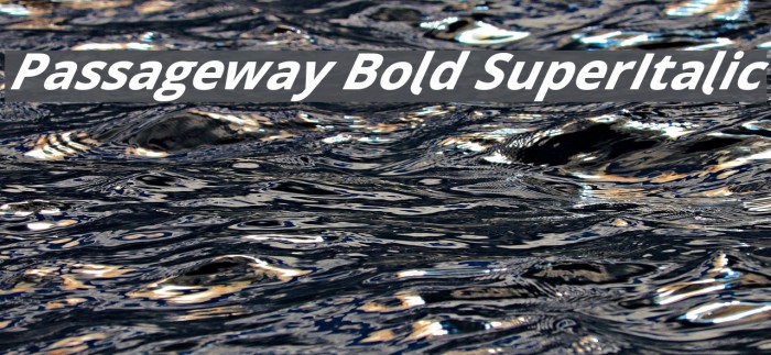 Passageway Bold SuperItalic Font examples